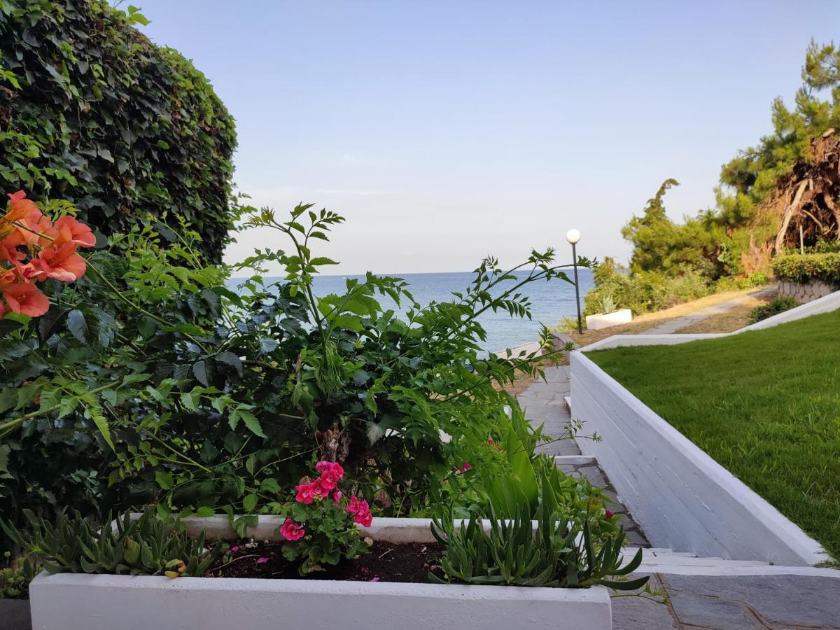 Beach House Emme PalaiónTsiflíkion المظهر الخارجي الصورة